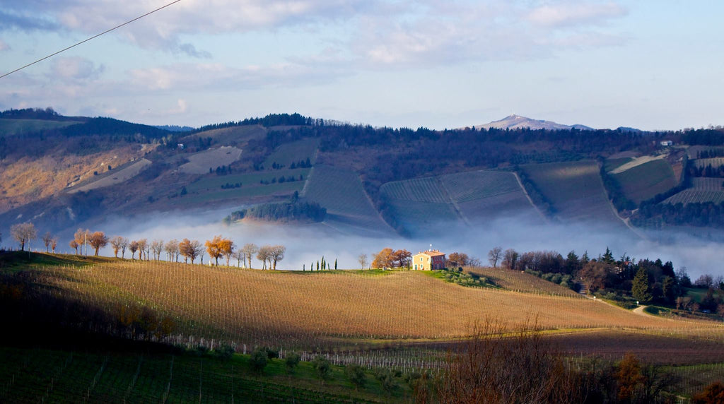 Emilia-Romagna – Das unterschätzte Weinjuwel